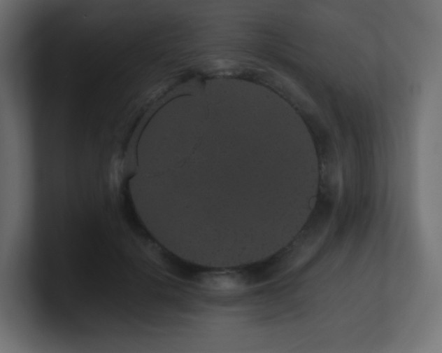 X0000101100652200806261513