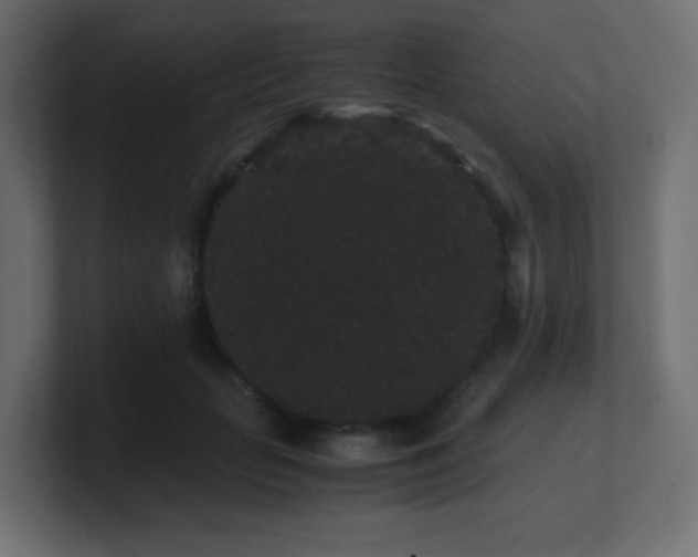 X0000101100653200806261513