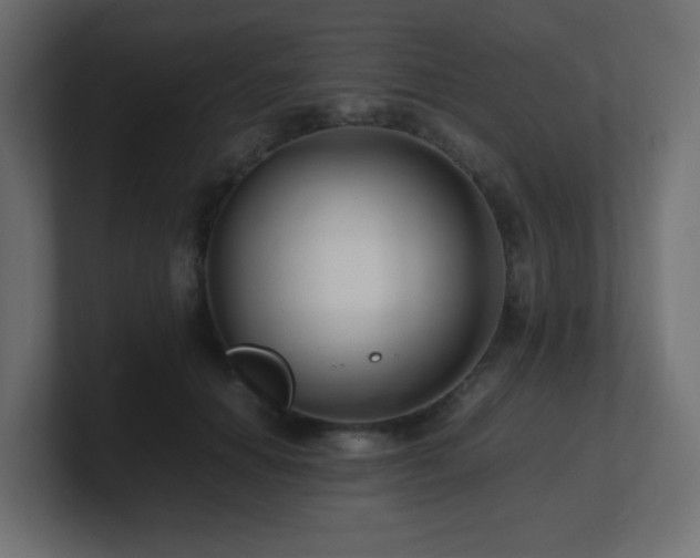 X0000101100654200806261513