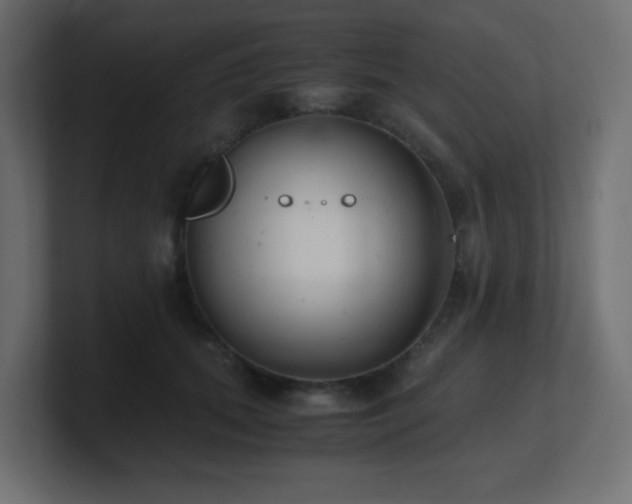 X0000101100655200806261513