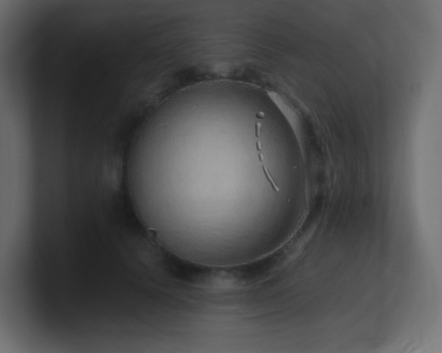 X0000101100656200806261513