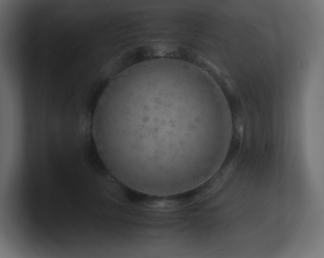 X0000101100657200806261513