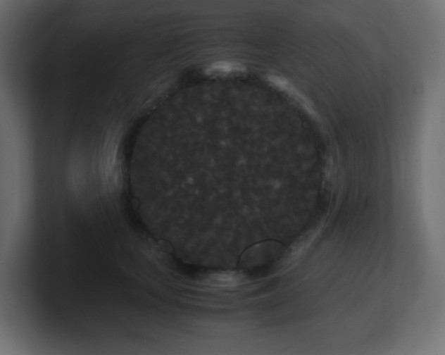 X0000101100659200806261513