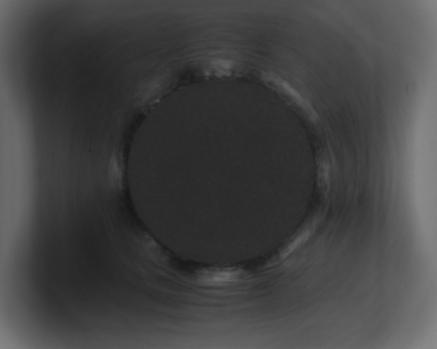 X0000101100661200806261513