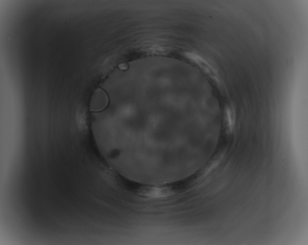 X0000101100663200806261513