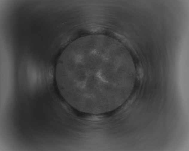 X0000101100664200806261513