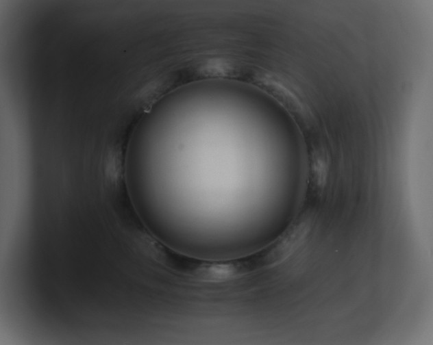 X0000101100665200806261513