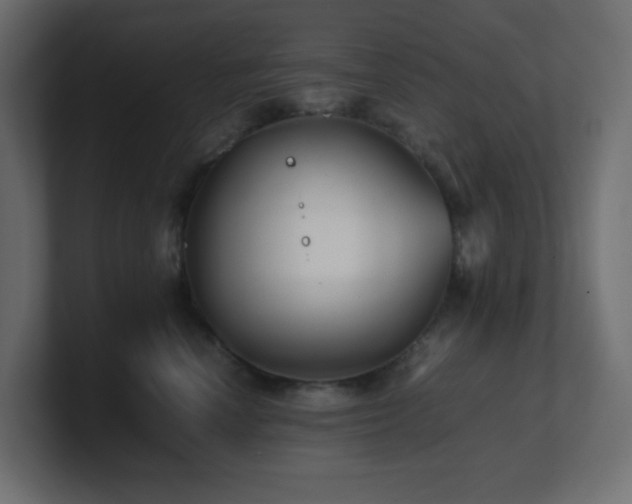 X0000101100666200806261513