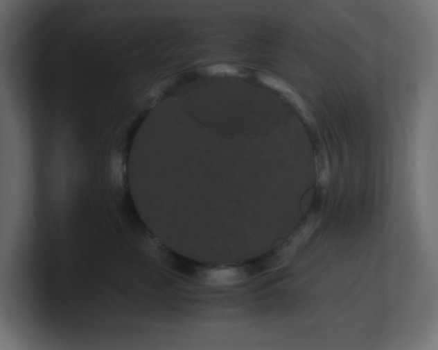 X0000101100669200806261513