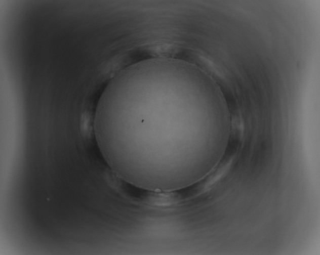 X0000101100671200806261513