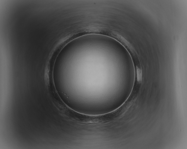 X0000101100675200806261513