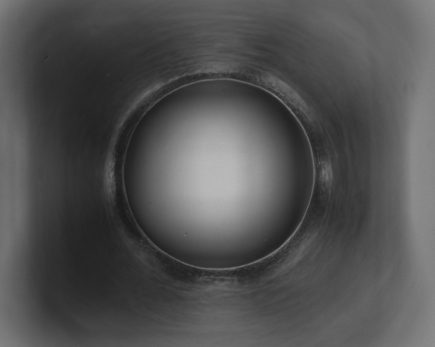 X0000101100676200806261513