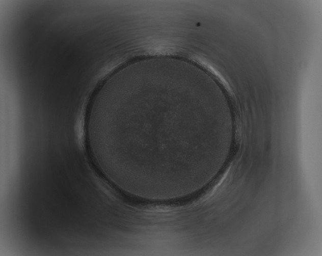 X0000101100677200806261513