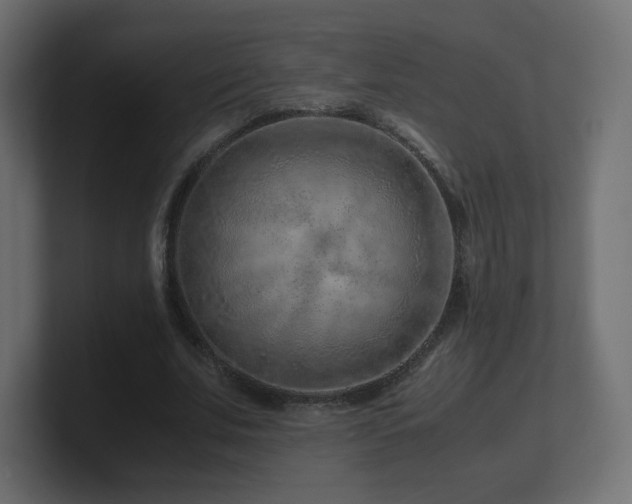 X0000101100679200806261513