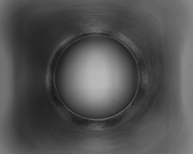 X0000101100680200806261513