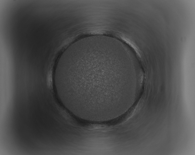 X0000101100681200806261513