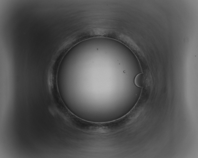 X0000101100683200806261513
