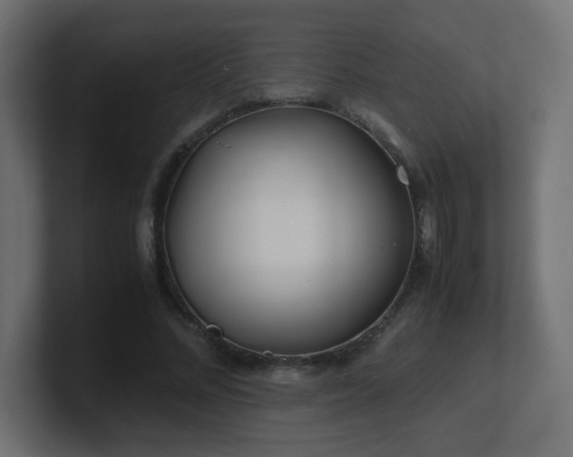 X0000101100684200806261513