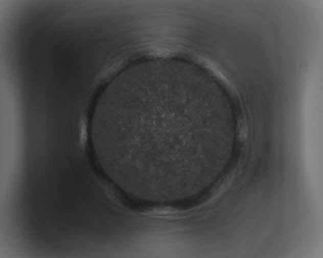 X0000101100685200806261513