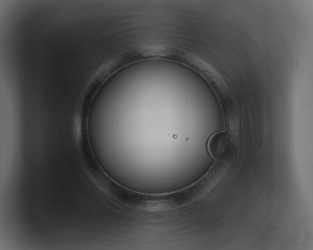 X0000101100686200806261513