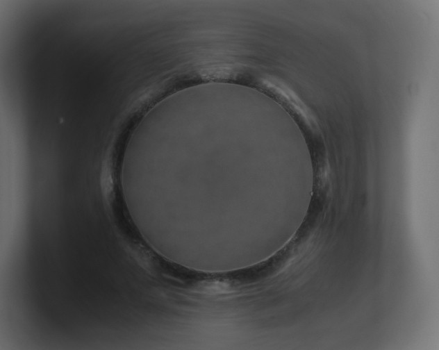 X0000101100687200806261512