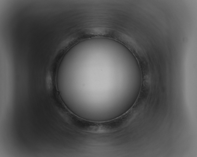 X0000101100688200806261512