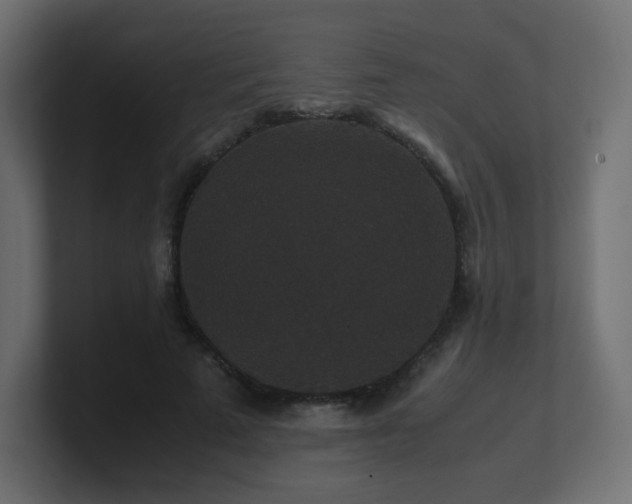 X0000101100689200806261512