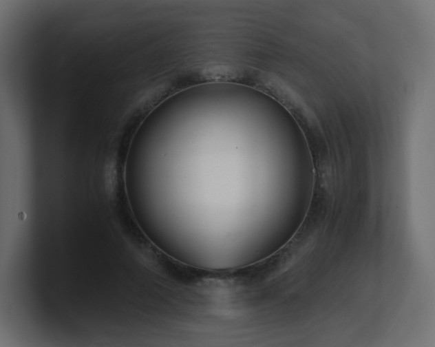 X0000101100690200806261512