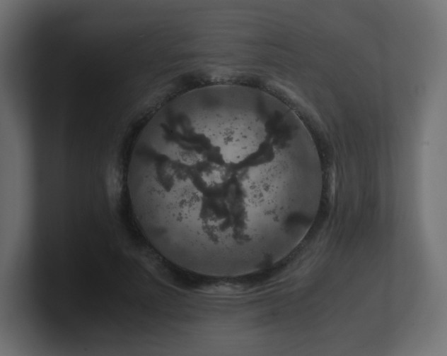 X0000101100691200806261512