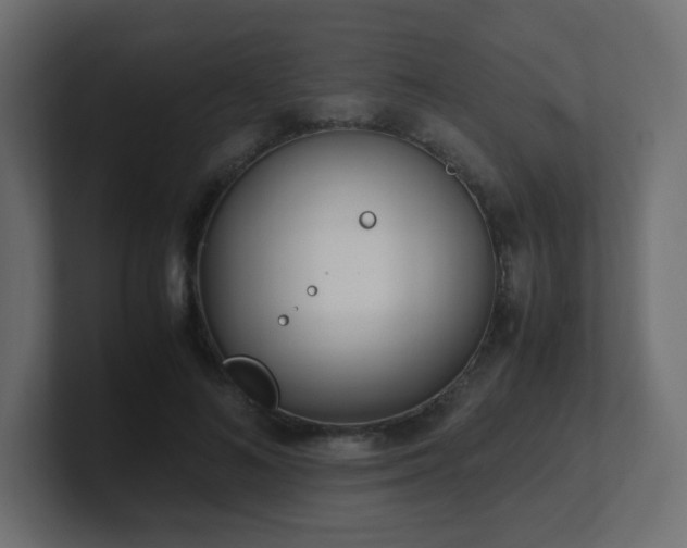 X0000101100692200806261512