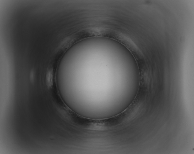 X0000101100694200806261512