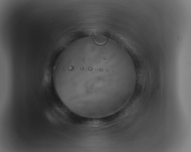 X0000101100695200806261512