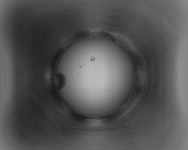 X0000101100698200806261512