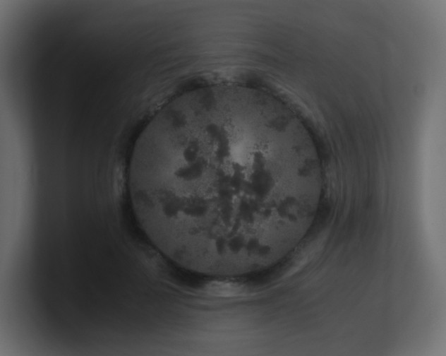 X0000101100699200806261512