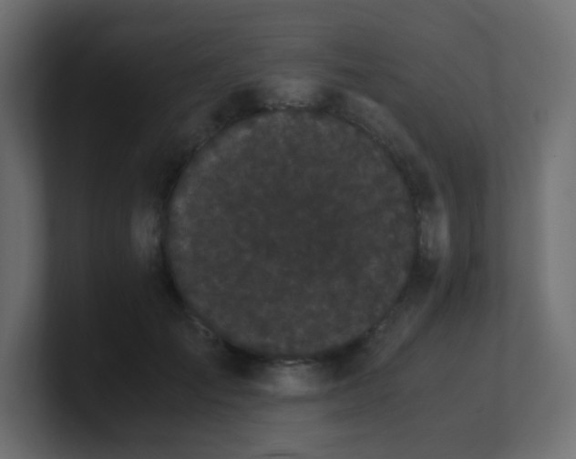 X0000101100701200806261512