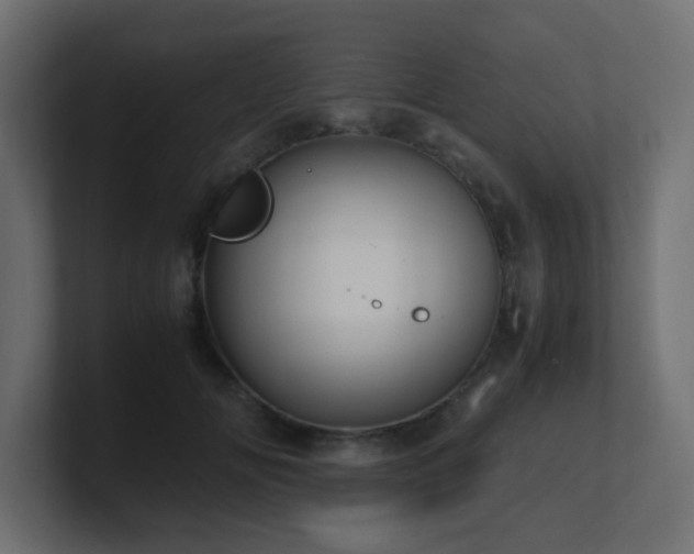 X0000101100702200806261512
