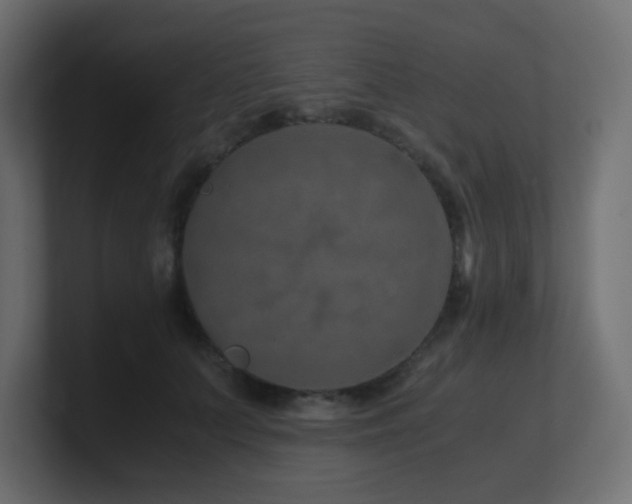 X0000101100703200806261512