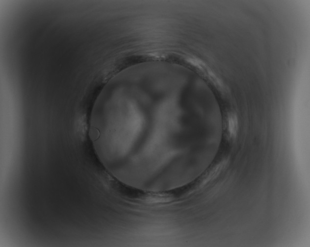 X0000101100707200806261512