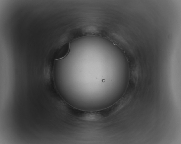 X0000101100708200806261512