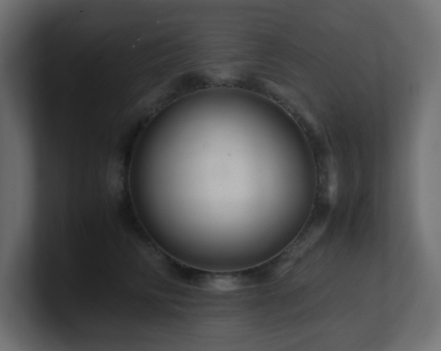 X0000101100710200806261512