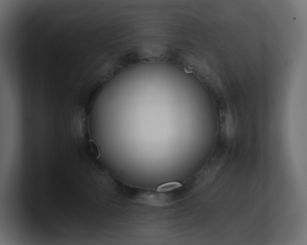 X0000101100712200806261512