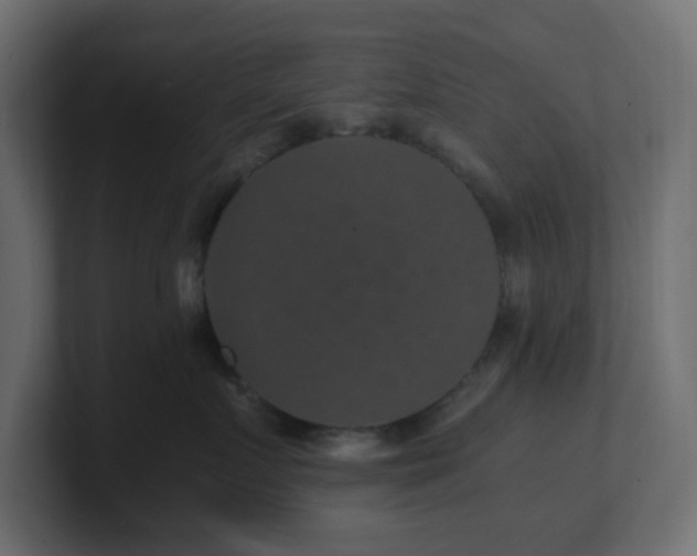 X0000101100719200806261512