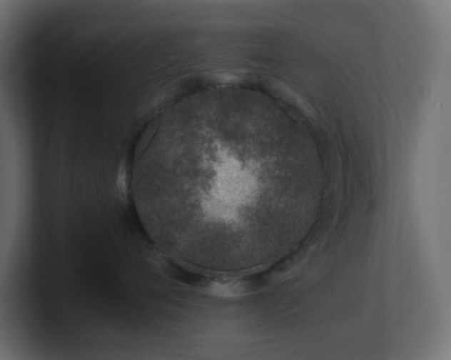 X0000101100720200806261512