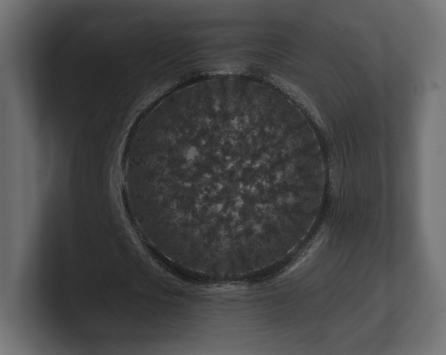 X0000101100721200806261511