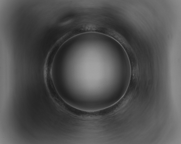 X0000101100722200806261511