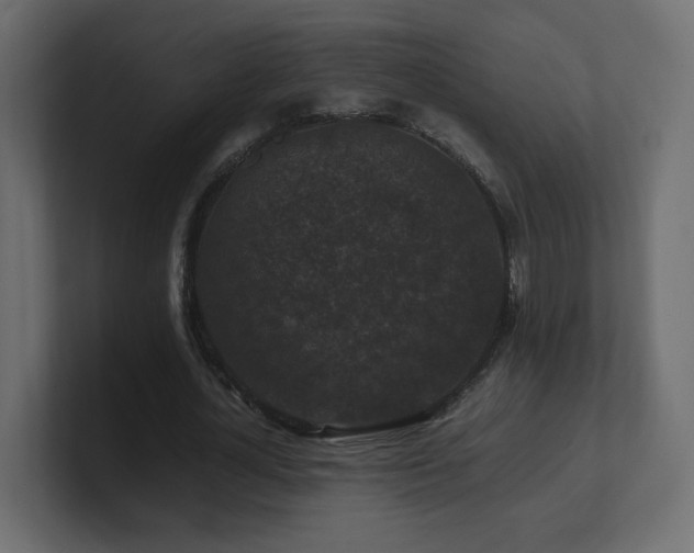 X0000101100724200806261511