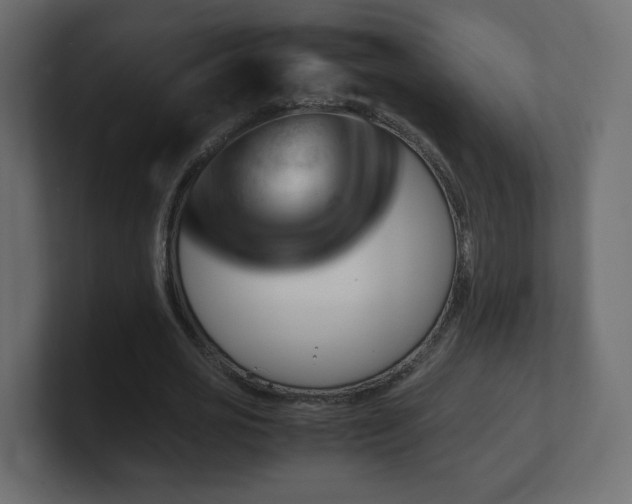 X0000101100725200806261511