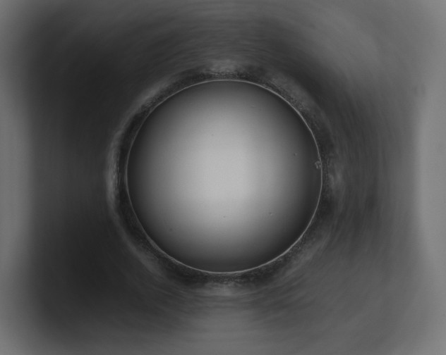X0000101100728200806261511