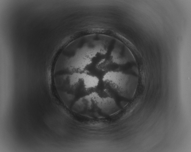X0000101100729200806261511