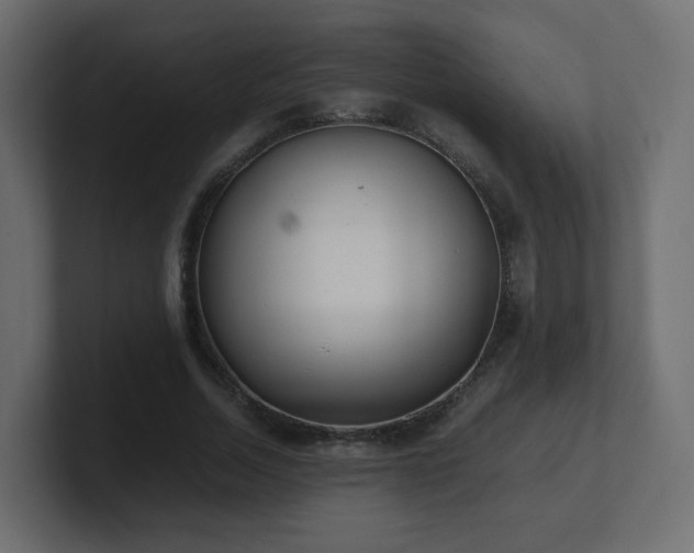 X0000101100730200806261512